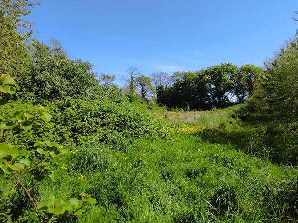 Maison à vendre à Guipavas dans le Finistère (29490), ref : 041/225