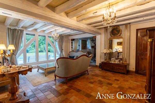 Propriete à vendre 9 pièces ARDON (45)