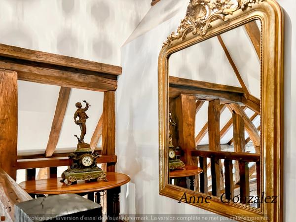 Propriete à vendre 9 pièces ARDON (45)