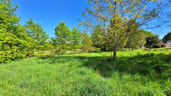 Terrain 2 000,00 m² ORADOUR SUR GLANE - Calme et Campagne
