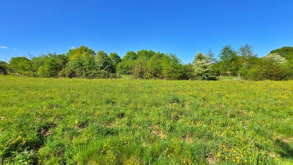Terrain 2 000,00 m² ORADOUR SUR GLANE - Calme et Campagne