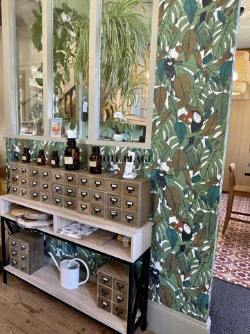 Royan (17200) VILLA DE CHARME AVEC PISCINE AU PRIX DE 1 351 500 € HAI