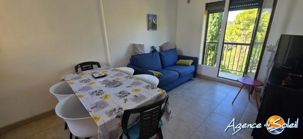 Appartement à Saint-Pierre-la-Mer APPARTEMENT T2 CABINE TRAVERSANT