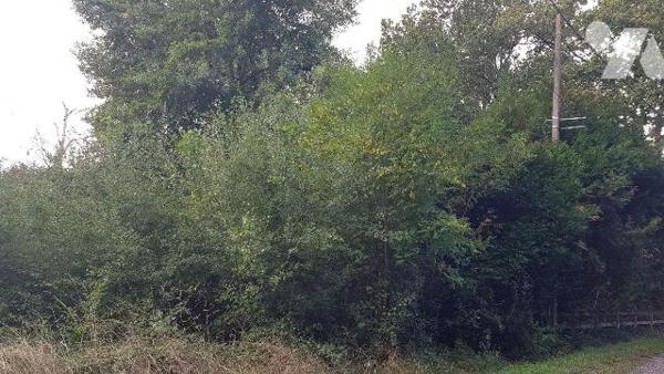 Une parcelle de terrain à bâtir, partiellement close d'une surface totale de 570m²
Viabilisati...