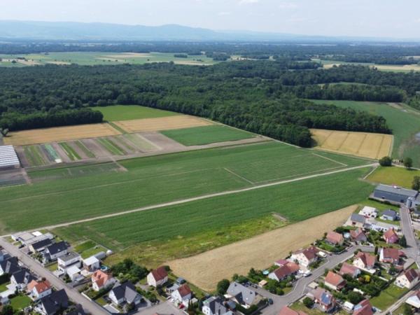 Vente / Terrain constructible