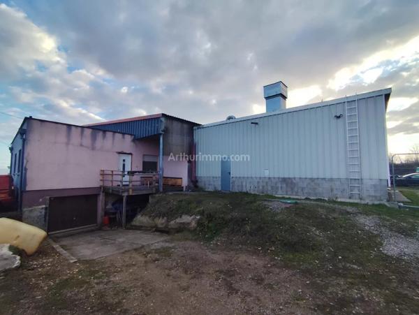 Vente Immeuble 500 m2 à Hirtzfelden