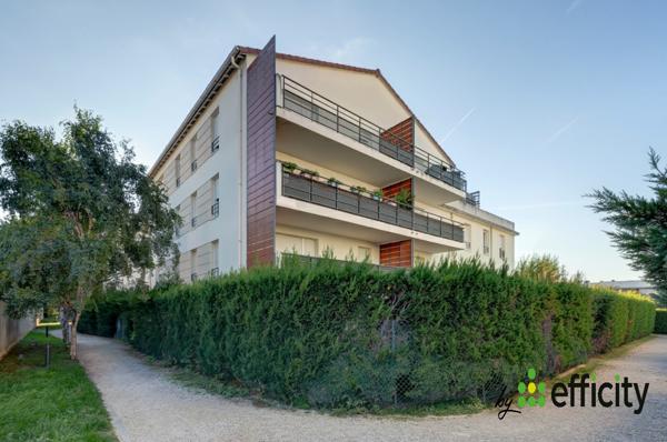 Appartement 2 pièces - 49 m² Exclusivité efficity