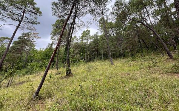 Terrain à vendre |  Antonne-et-Trigonant |  2519 m²