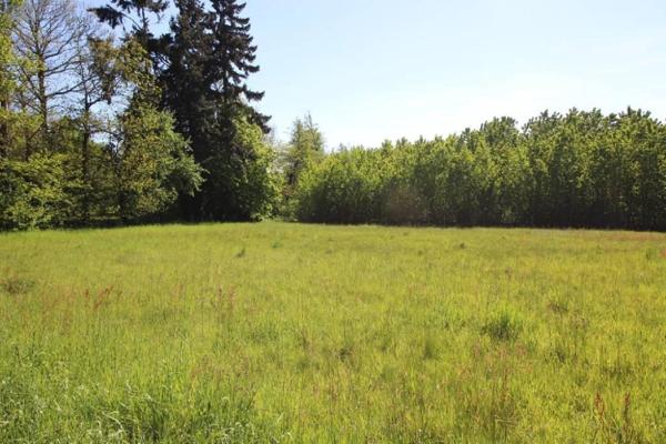 Terrain à Batir à vendre à Alençon dans l'Orne (61000), ref : 61001-302552