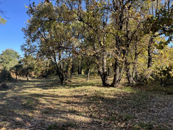 Immobilier Lorgues (83510) – Villa 153m2 – 609 000 €