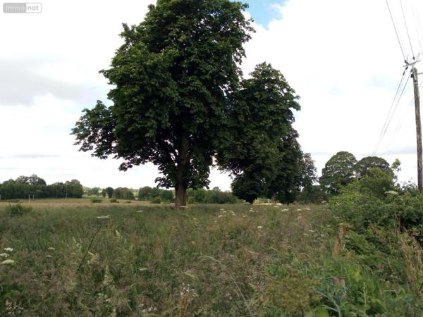 Maison de maître à vendre à Villaines-la-Juhel en Mayenne (53700), ref : 1357