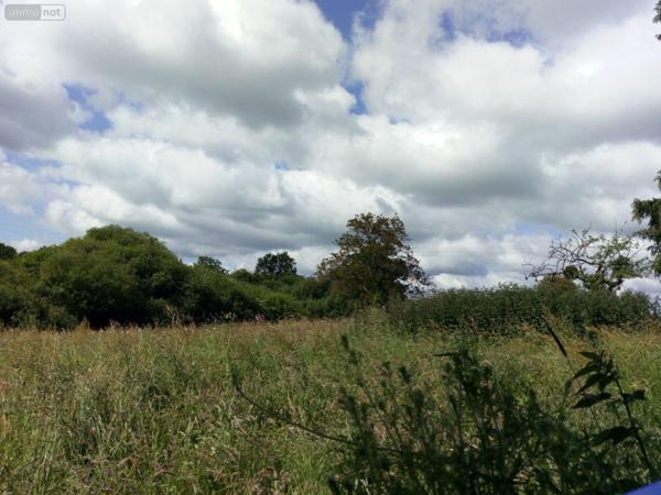 Maison de maître à vendre à Villaines-la-Juhel en Mayenne (53700), ref : 1357