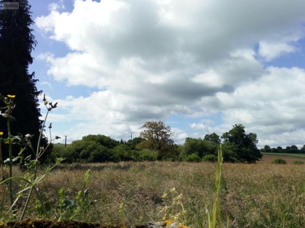 Maison de maître à vendre à Villaines-la-Juhel en Mayenne (53700), ref : 1357