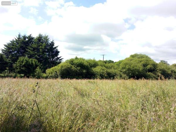 Maison de maître à vendre à Villaines-la-Juhel en Mayenne (53700), ref : 1357