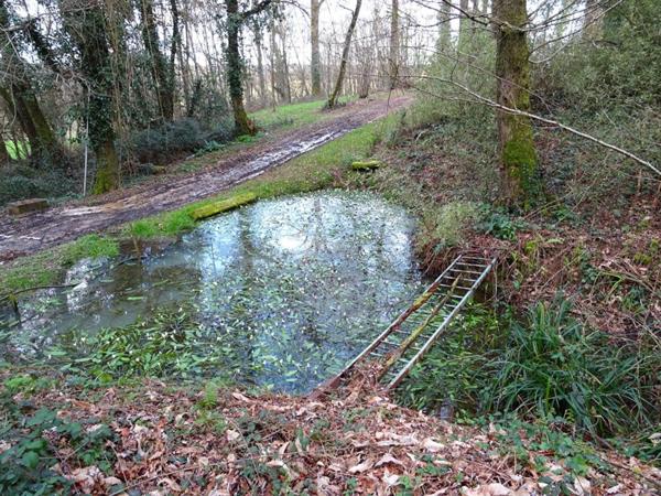 Landes 40250 Saint-aubin, maison 178 m²