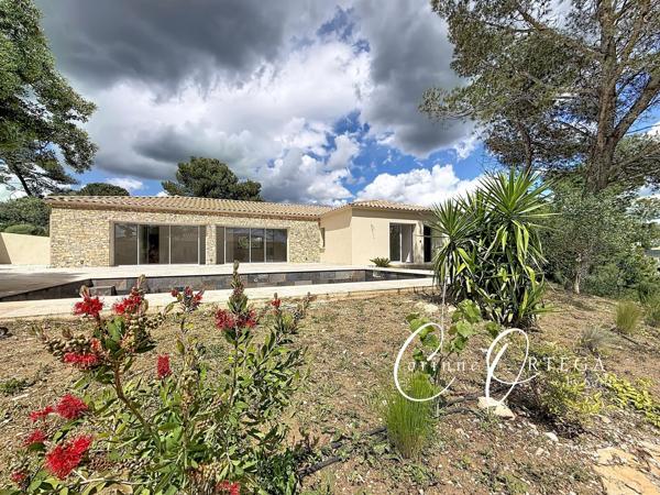 Villa contemporaine 4 chambres piscine et double garage