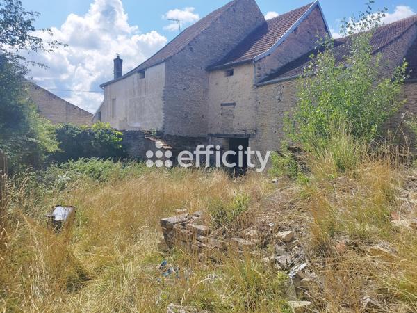 Maison 2 pièces - 130 m² Exclusivité efficity