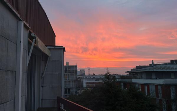 Appartement à louer    3 pièces •  Cenon