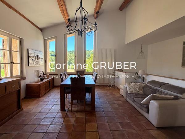 Immobilier Thoard (04380) – Propriété 210m2 – 650 000 €