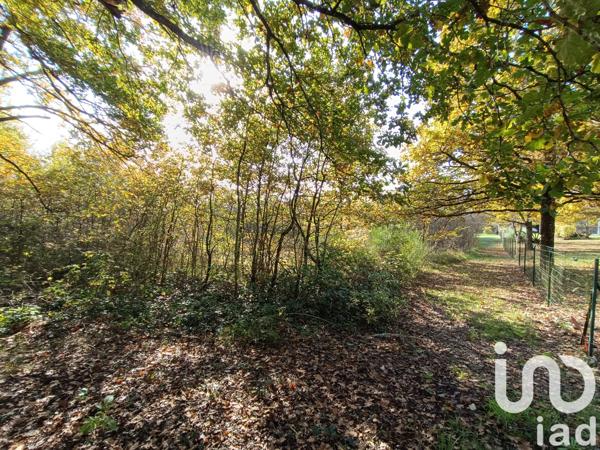 Terrain à vendre 11 202 m² Pruniers-en-Sologne