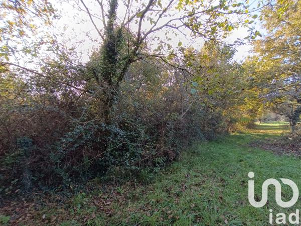 Terrain à vendre 11 202 m² Pruniers-en-Sologne
