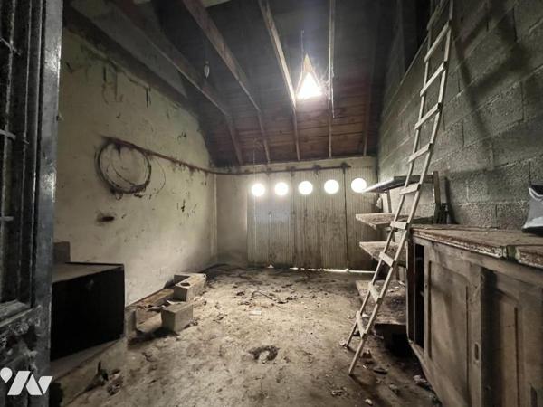 Fouesnant - Mousterlin : Maison de bord de mer sur plus de 2 000 m² de terrain arboré