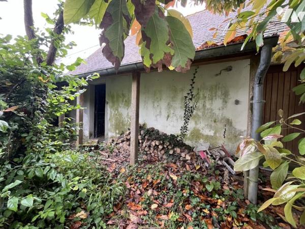 Fouesnant - Mousterlin : Maison de bord de mer sur plus de 2 000 m² de terrain arboré