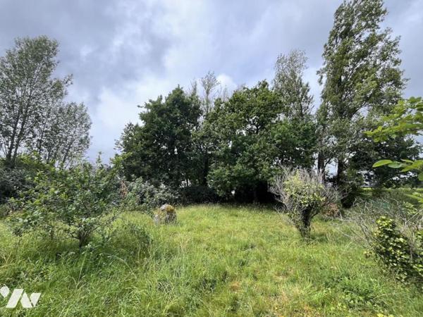 Fouesnant - Mousterlin : Maison de bord de mer sur plus de 2 000 m² de terrain arboré