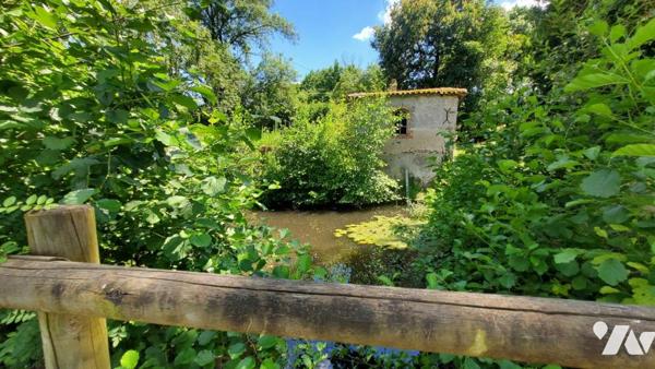 Maison de caractère au cœur de Liré – 1 hectare de terrain – Fort potentiel -215 m²