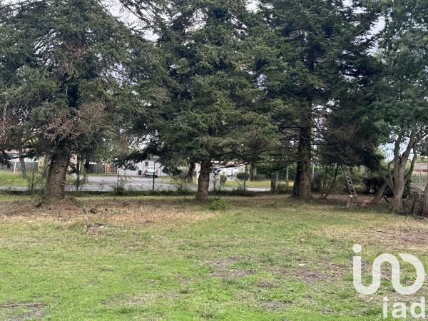 Terrain à vendre 700 m² Hourtin