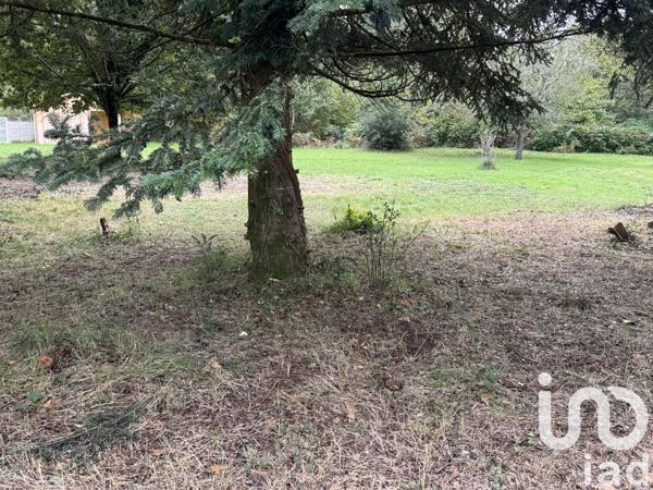 Terrain à vendre 700 m² Hourtin
