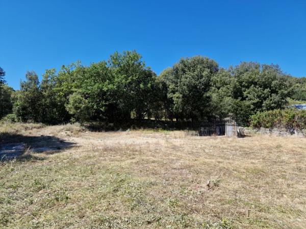 Terrain Constructible