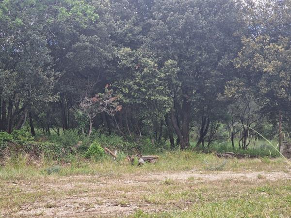 Terrain Constructible