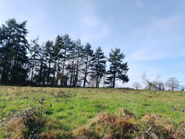 Achat vente Maison Crédin