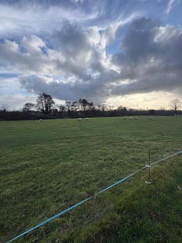 Propriété de charme de 235 m² sur près de 2 hectares Cadre naturel privilégié