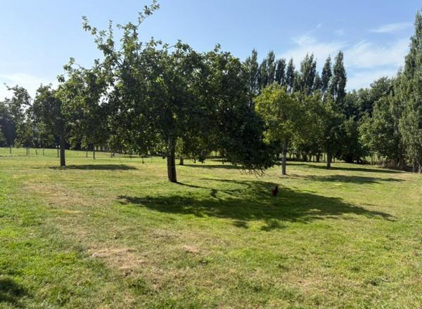 Terrain à Souleuvre en Bocage, 14350 - 1000m²
