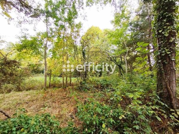 Terrain - 1419 m² Exclusivité