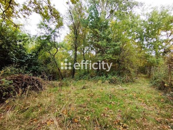 Terrain - 1419 m² Exclusivité