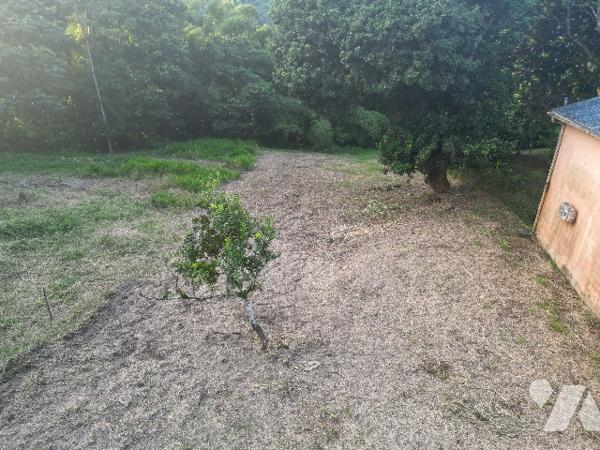 Un magnifique terrain nu dans le quartier de balata