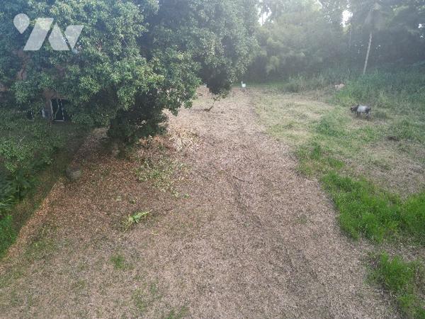 Un magnifique terrain nu dans le quartier de balata