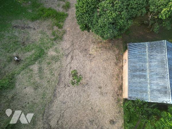 Un magnifique terrain nu dans le quartier de balata