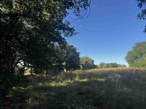 8HA DE TERRES AGRICOLES