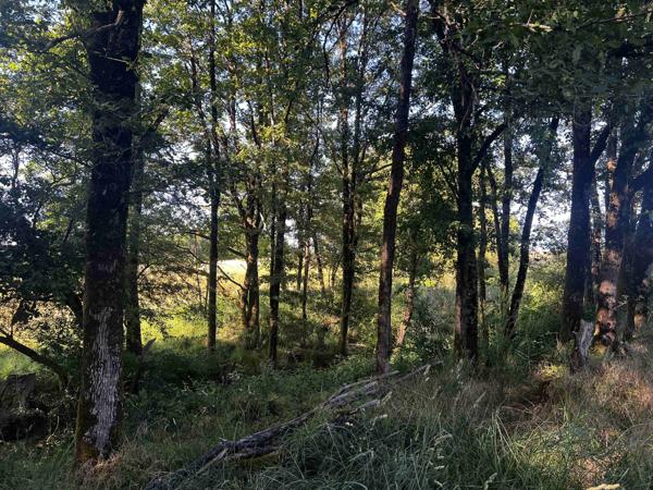 8HA DE TERRES AGRICOLES