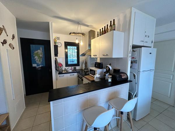 A vendre bord de mer Appartement Linguizzetta 3 pièce(s) avec jardin, garage
