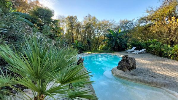 A vendre. Ensemble de 250m² à Tursac (24) avec maison d'habitation, gîte, piscine lagon sur près de 1,5 hectares de terrain en partie boisé. possibilité de création d'une auberge