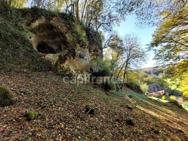 A vendre. Ensemble de 250m² à Tursac (24) avec maison d'habitation, gîte, piscine lagon sur près de 1,5 hectares de terrain en partie boisé. possibilité de création d'une auberge