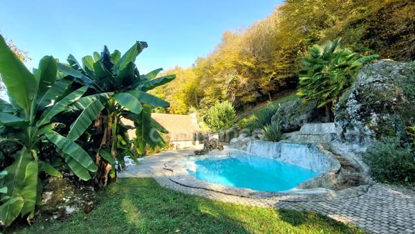A vendre. Ensemble de 250m² à Tursac (24) avec maison d'habitation, gîte, piscine lagon sur près de 1,5 hectares de terrain en partie boisé. possibilité de création d'une auberge