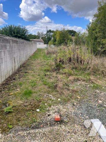 ST JEAN DE LIVERSAY - LUCHE