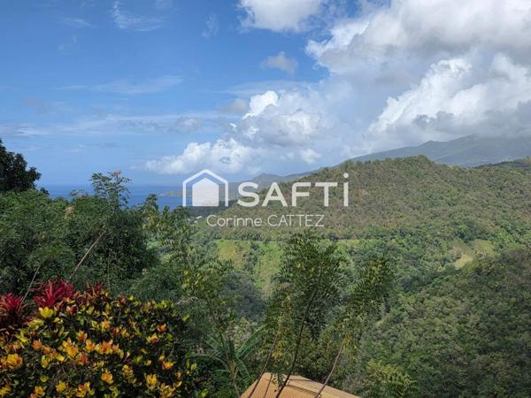 Villa de charme face à la Montagne Pelée