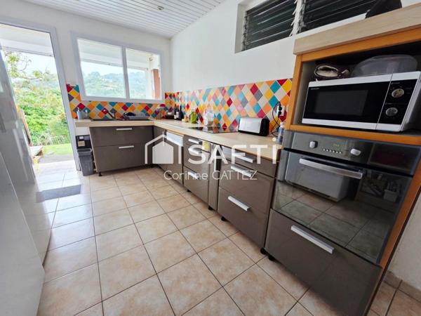 Villa de charme face à la Montagne Pelée